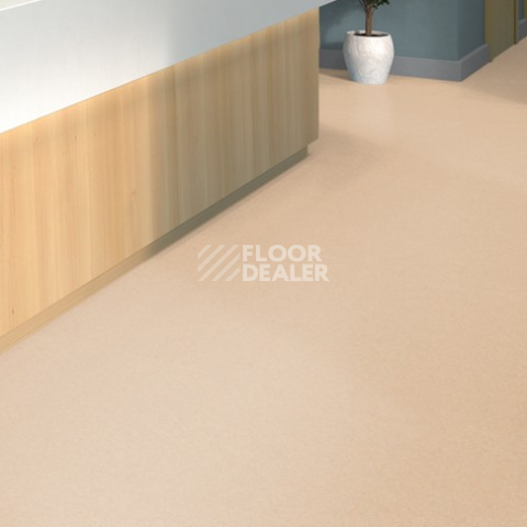 Tarkett iq Melodia 2644 фото 2 | FLOORDEALER